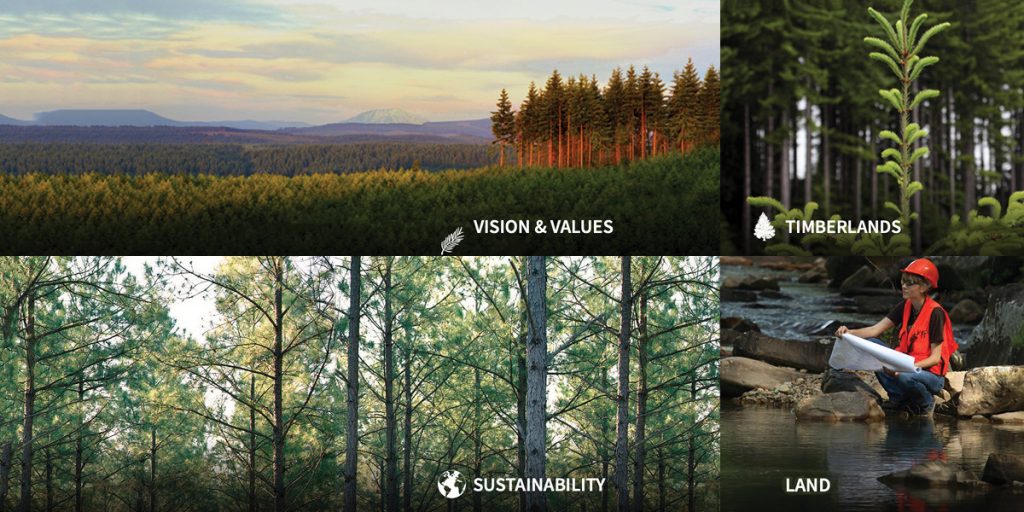 Product Spotlight: Weyerhaeuser Company