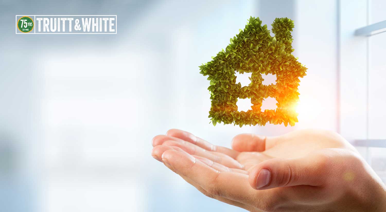 Home Improvements for Energy Conservation
