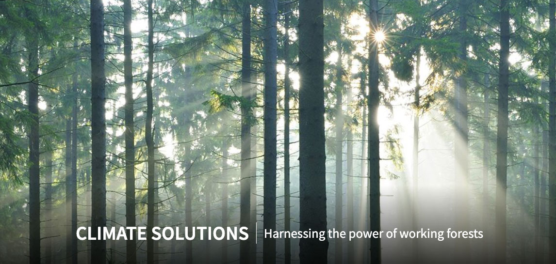 PRODUCT SPOTLIGHT Weyerhaeuser nov2023 2