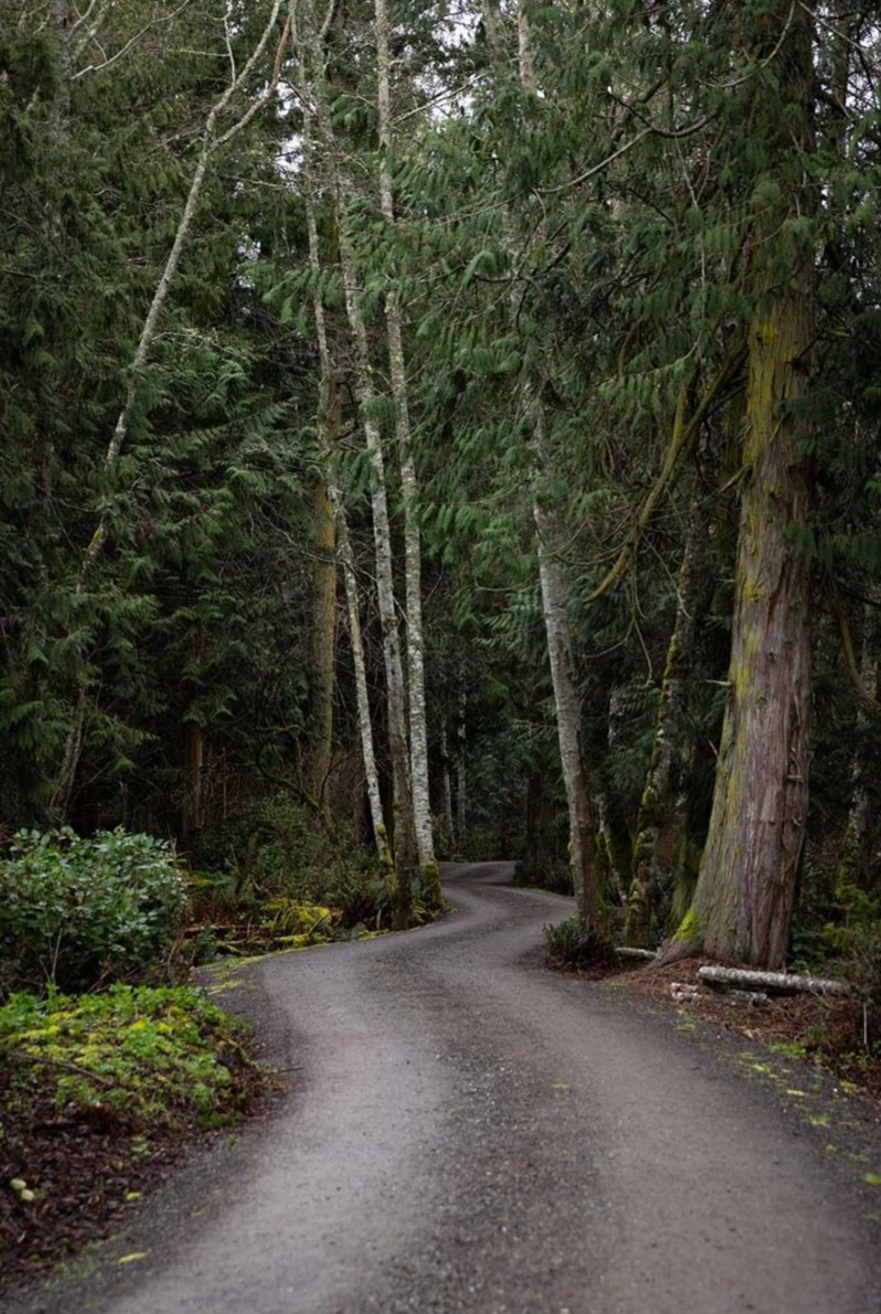 Visiting a Forest Hideaway Perched Above Puget Sound 05